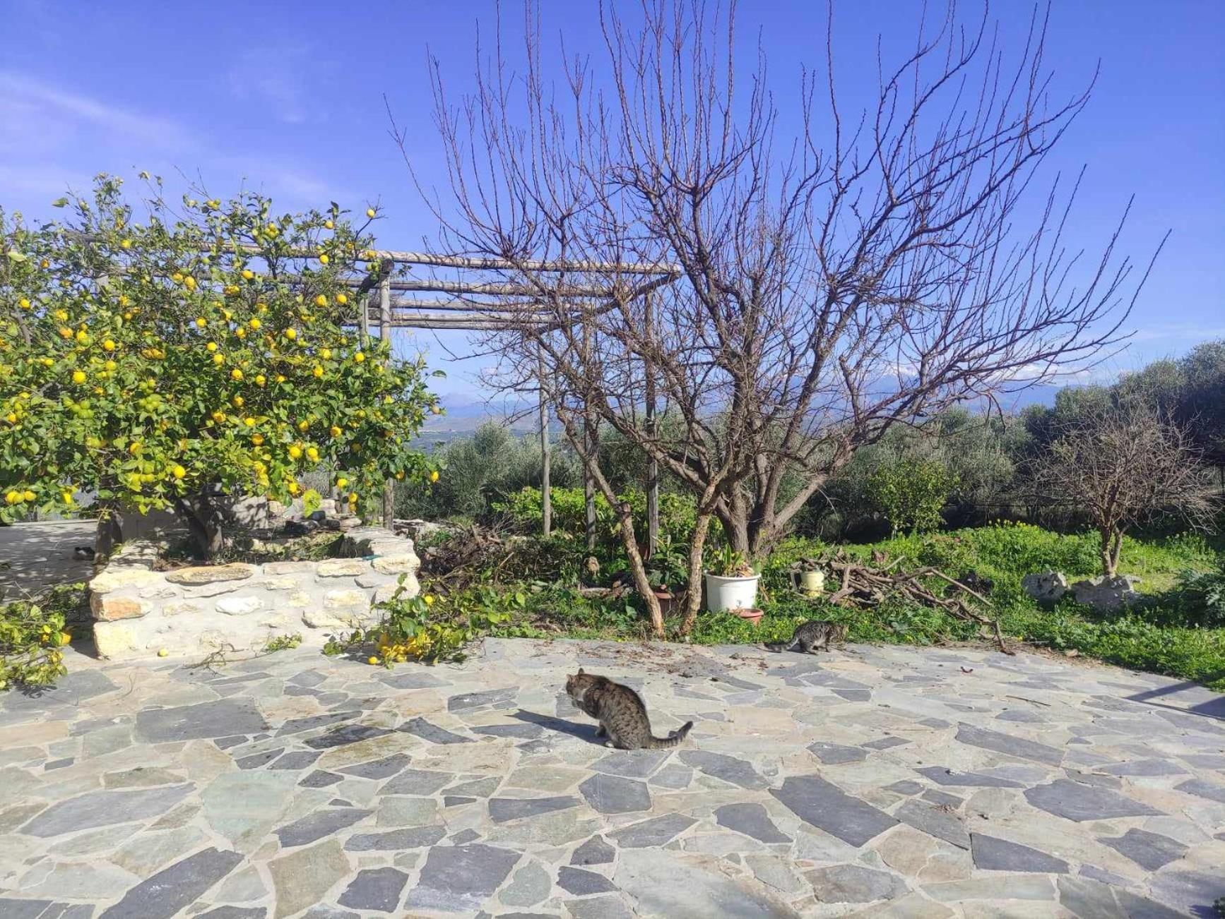 Aletraki -Off-Grid Retreat Above Heraklion, Peaceful Views Арханес Экстерьер фото